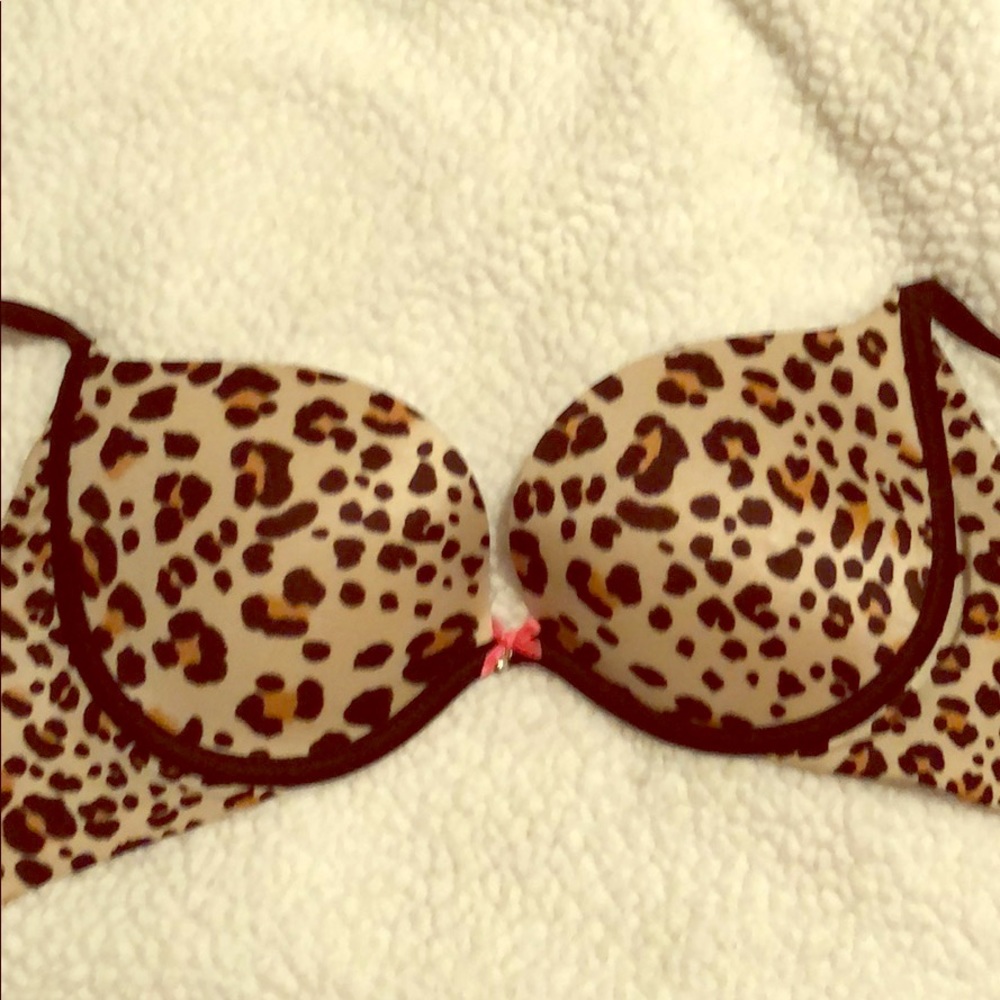 Leopard Print Vs Bra - image 1